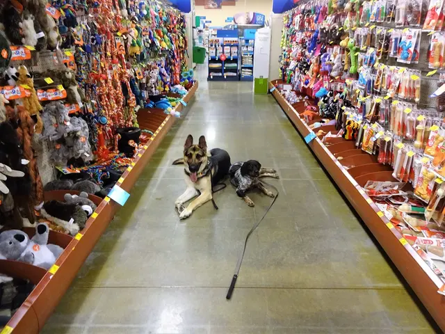 Topline K9 Solutions — photo from the business 9