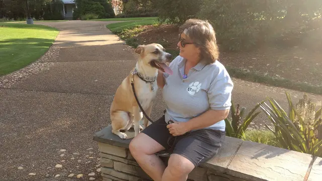 Topline K9 Solutions — photo from the business 6