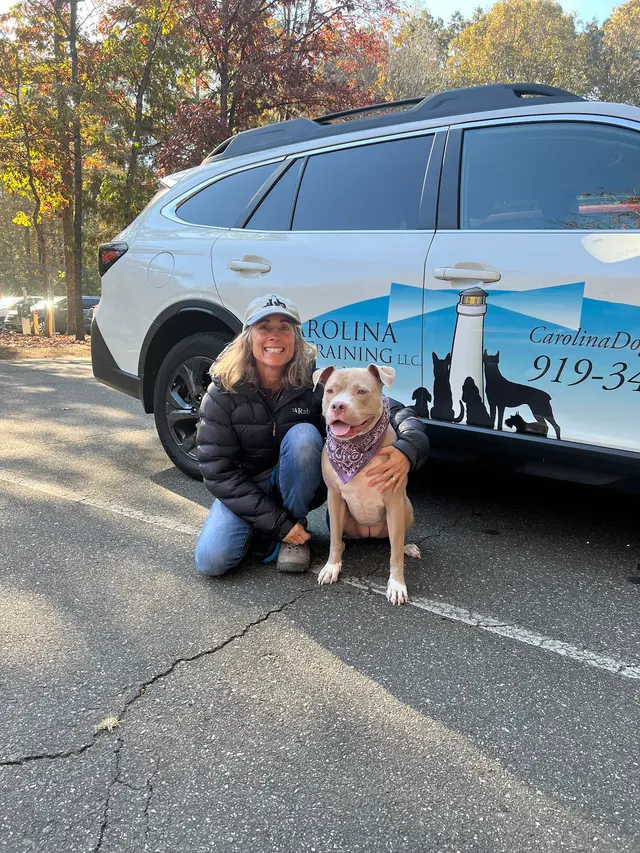 Carolina Dog Training, LLC — customer photo 10