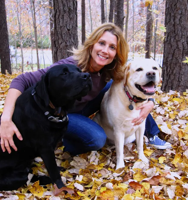 Carolina Dog Training, LLC — photo from the business 1