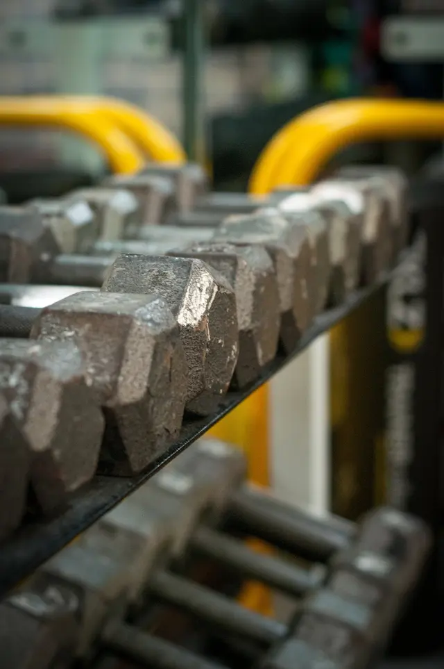 No Limits Fitness — photo from the business 11