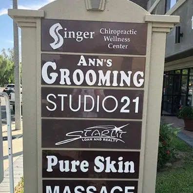 Singer Chiropractic Wellness Center — photo from the business 12