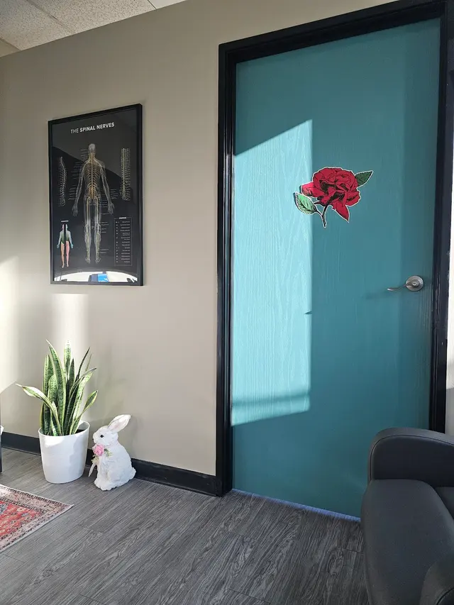 Chiroevolution | Diana L Lawson DC — photo from the business 11