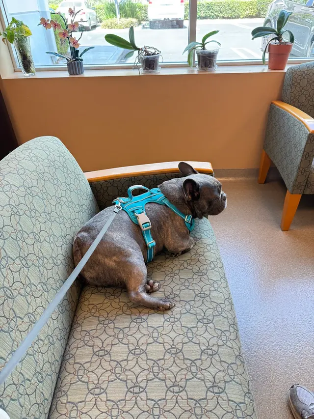 Veterinary Neurology Center — customer photo 5