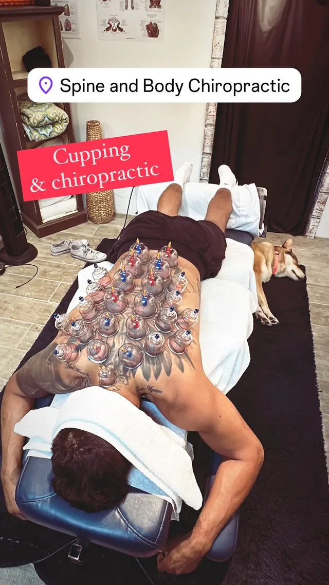 Spine and Body Chiropractic — photo from the business 12