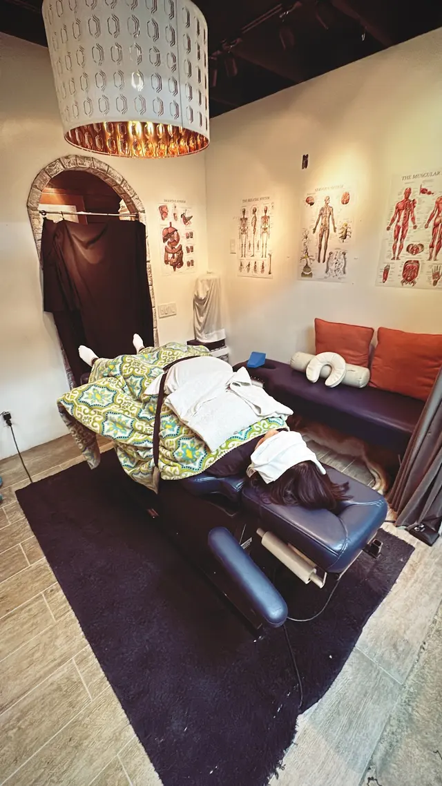 Spine and Body Chiropractic — photo from the business 10
