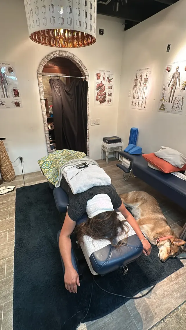 Spine and Body Chiropractic — photo from the business 8