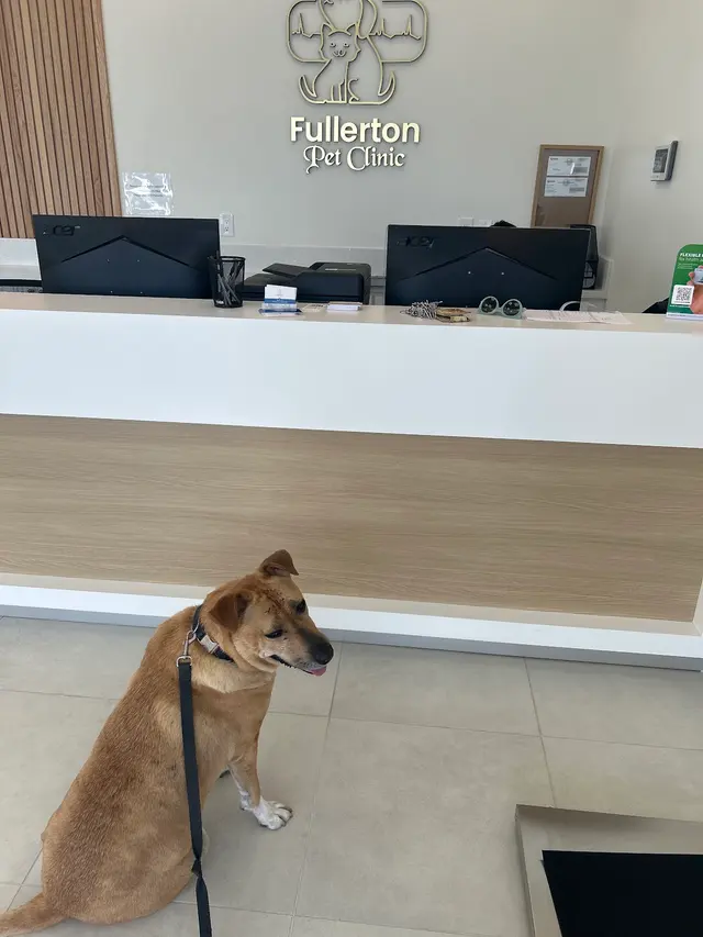 Fullerton Pet Clinic — customer photo 3