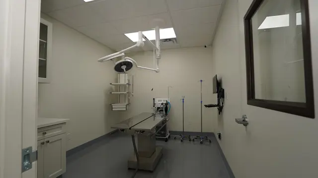 Fullerton Pet Clinic — photo from the business 5
