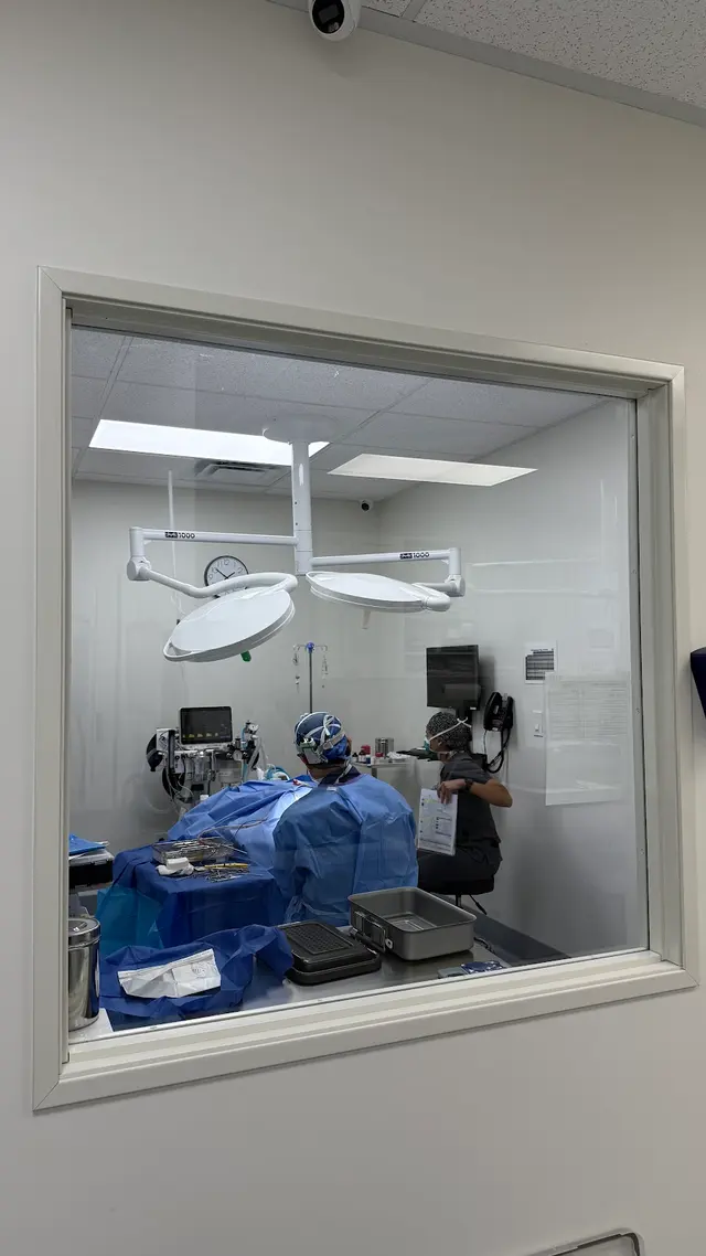 Fullerton Pet Clinic — photo from the business 11