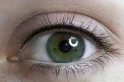 PERMANENT MAKEUP CREATIONS — photo from the business 3