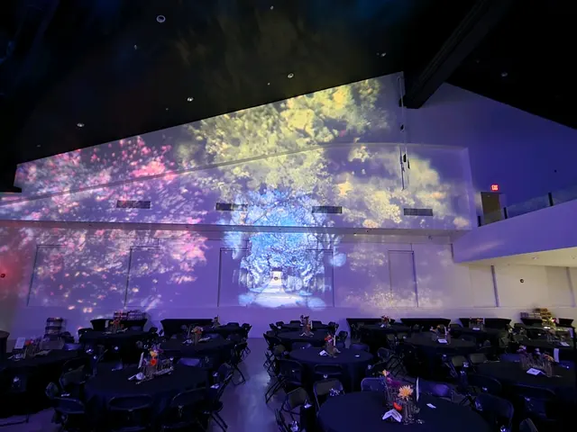 Pro Audio and Lighting — photo from the business 9