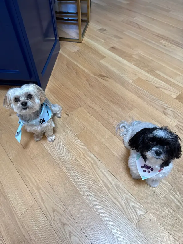 Customer photo from Tammy's review