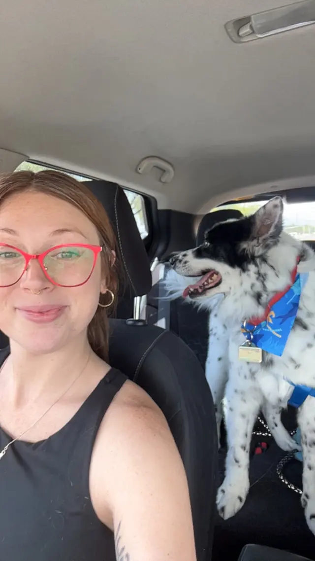 Woof Gang Bakery & Grooming Catalina Foothills — customer photo 5