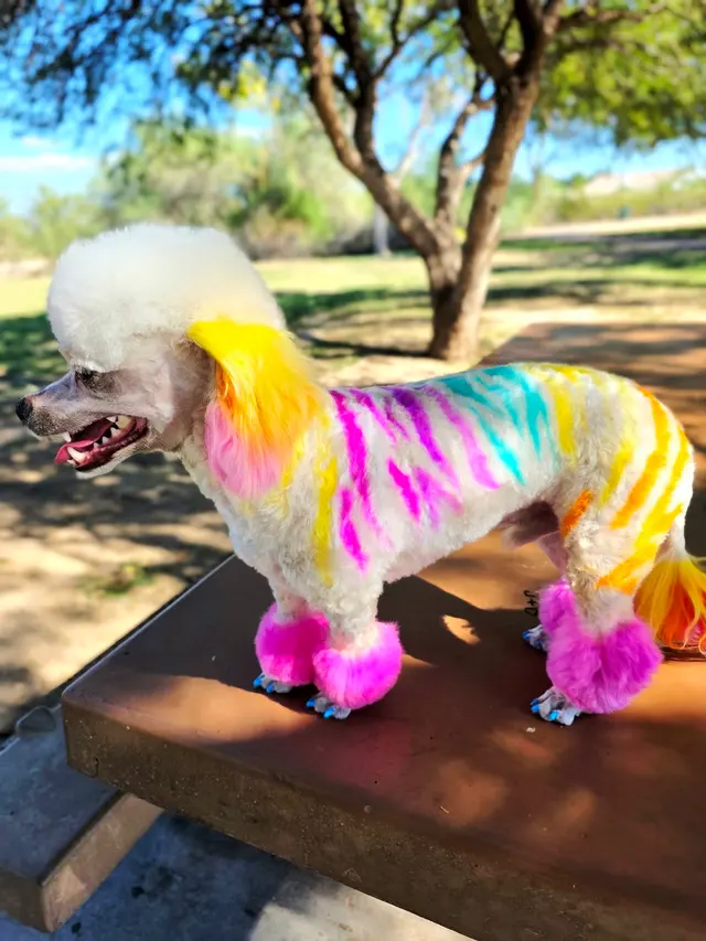 Prickly Pup — customer photo 8