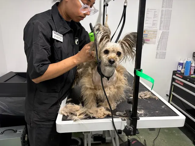 Paw Commons Pet Resort & Training Center - Tucson — photo from the business 6