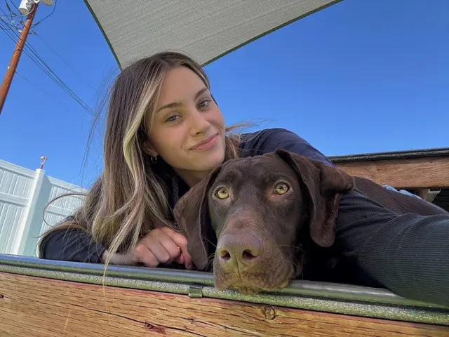 Paw Commons Pet Resort & Training Center - Tucson — photo from the business 1