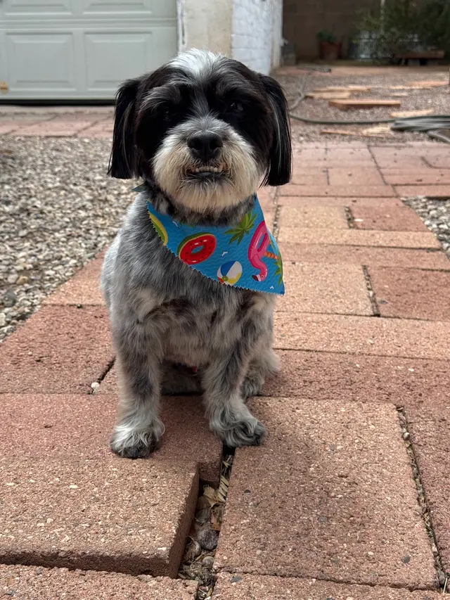 Customer photo from Christopher's review
