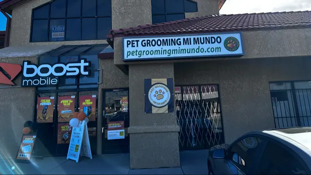 Pet Grooming Mi Mundo — photo from the business 1