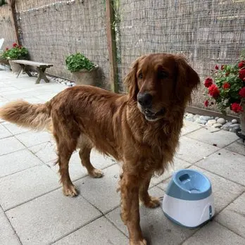 Jackie's K9 Korral Pet Salon — customer photo 1