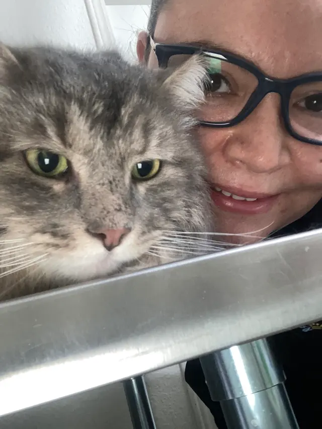 Blue Cat Grooming LLC — photo from the business 9