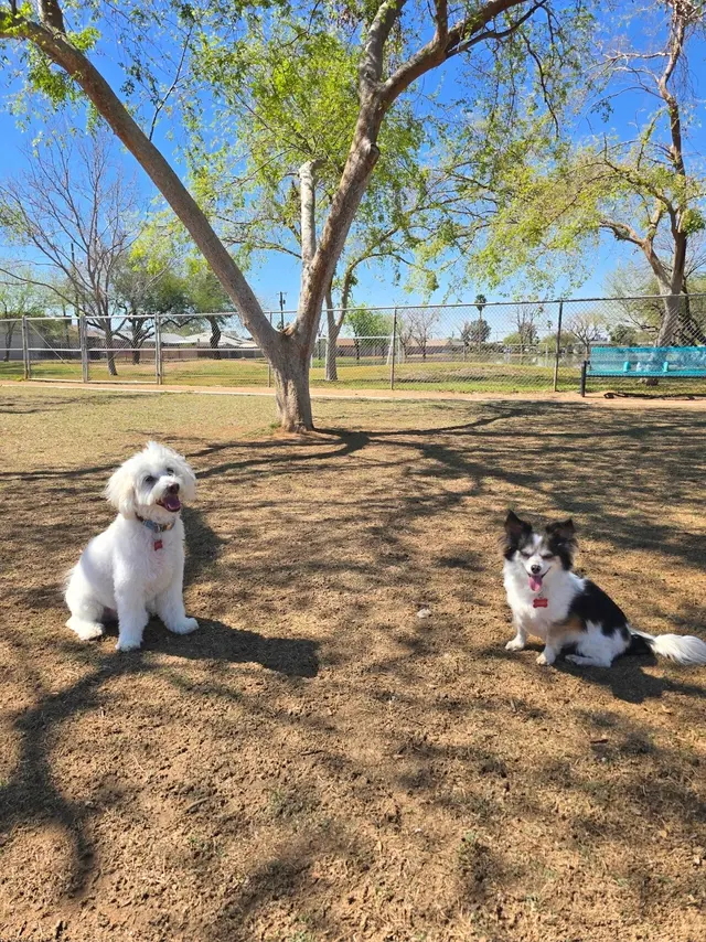 Canine Territory — customer photo 5