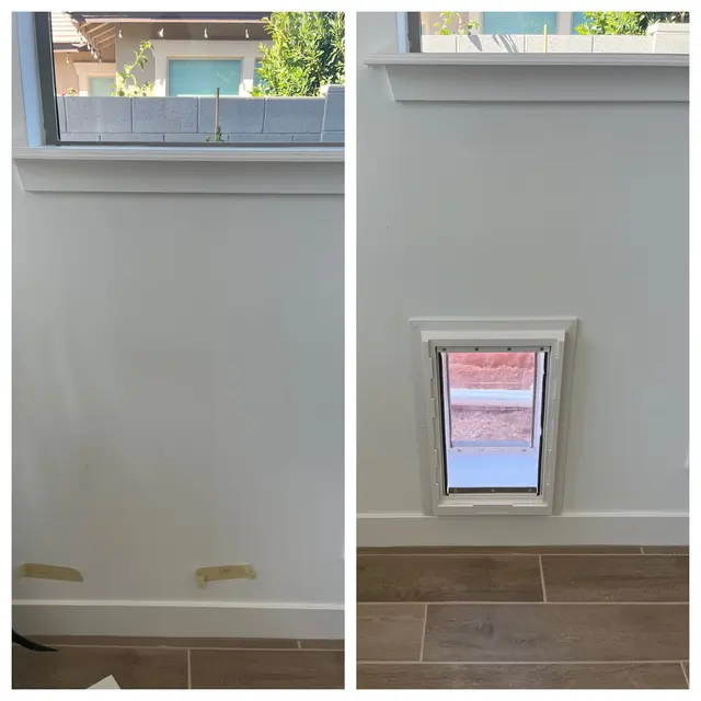 Apollo Pet Doors — photo from the business 9