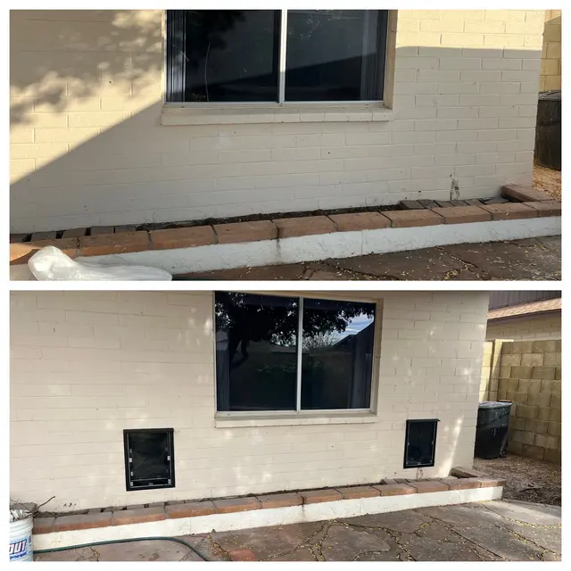 Apollo Pet Doors — photo from the business 1
