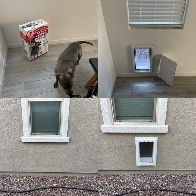 Pet Doors For Less — photo from the business 4