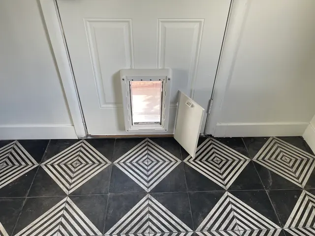 Pet Doors For Less — photo from the business 5