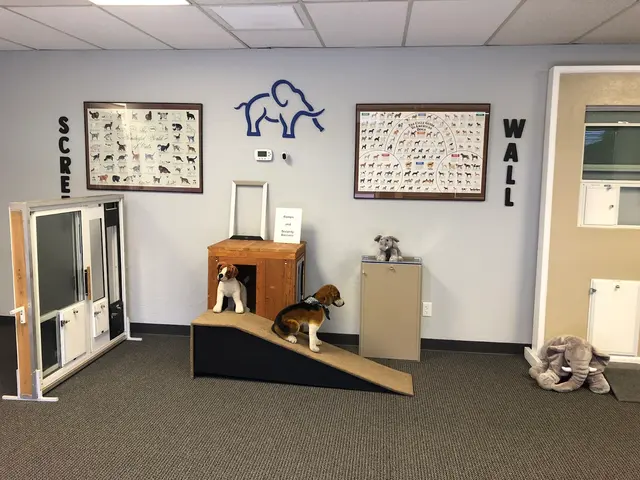 Hale Pet Doors of Arizona — photo from the business 2