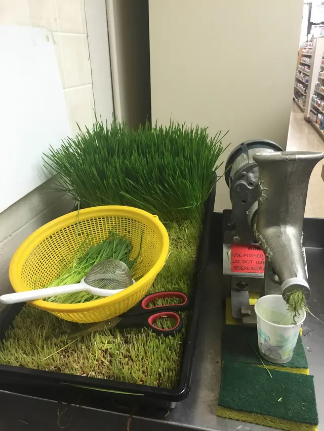 Life Spring Health Foods — photo from the business 10
