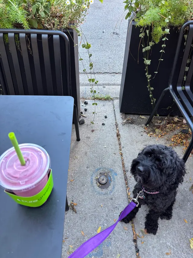 Customer photo of work by Pure Green - Juice Bar Lakeview, from stacylaughs's review