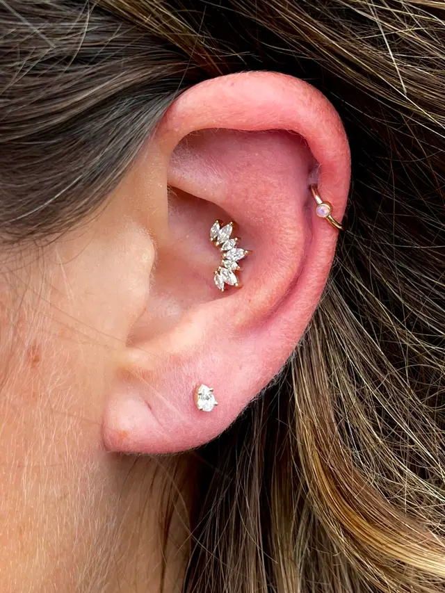 Rose Body Piercing — photo from the business 7
