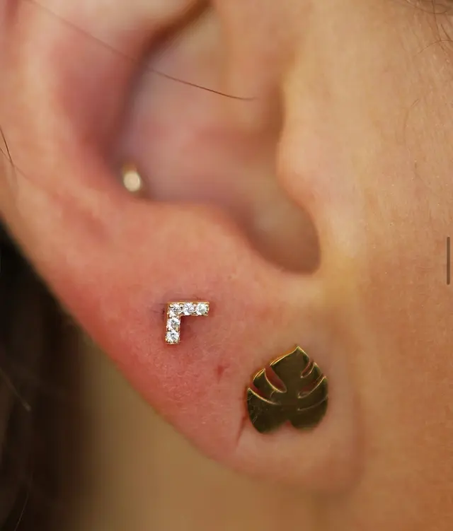 The Piercings Club — photo from the business 7