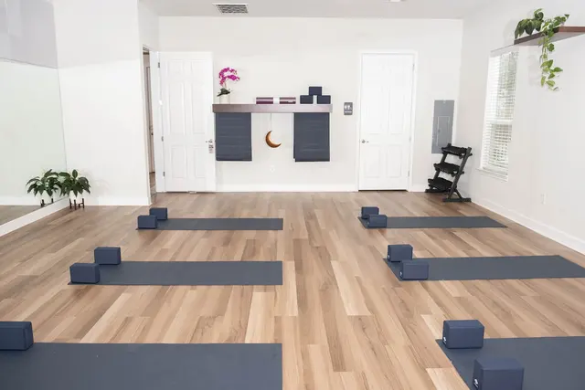 Moonshine Yoga Cedar Park — photo from the business 1