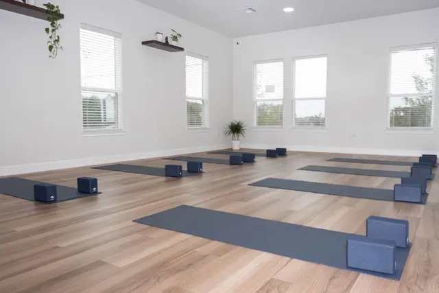 Moonshine Yoga Cedar Park — photo from the business 3