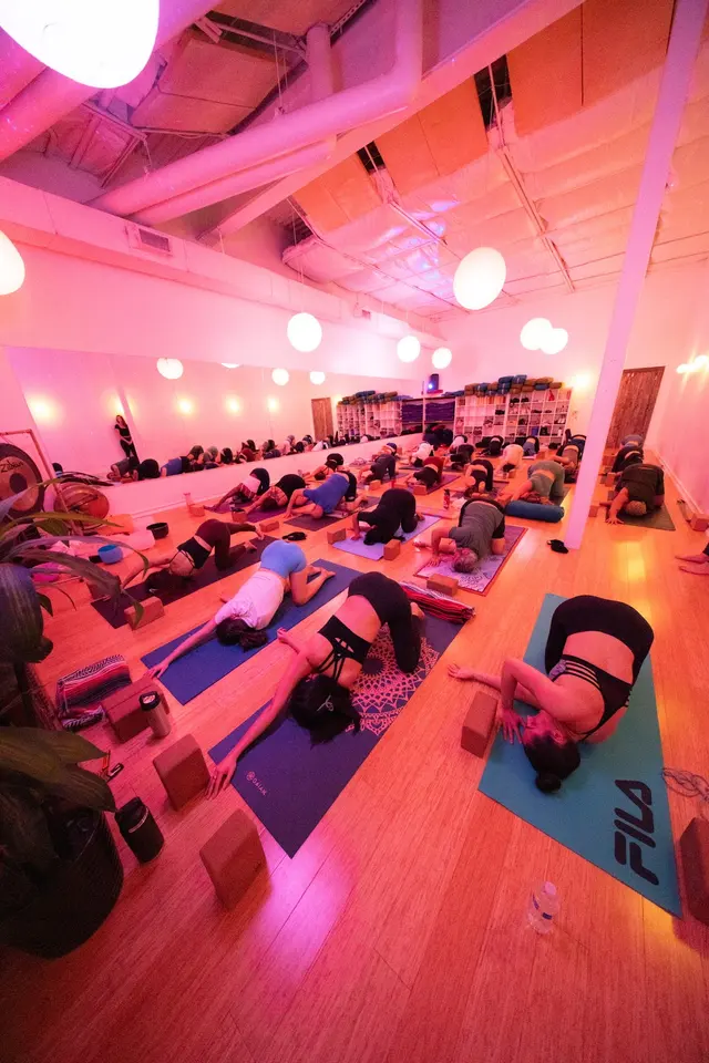 Lizard Yoga — photo from the business 1