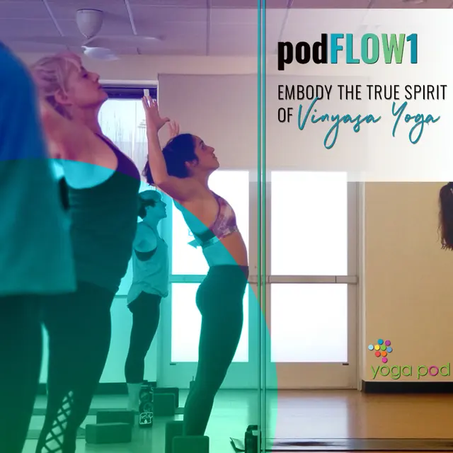 Yoga Pod Austin — photo from the business 11