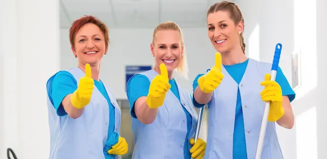 Love My Maids — photo from the business 6