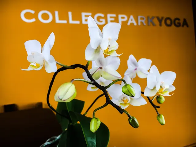 College Park Yoga — photo from the business 8