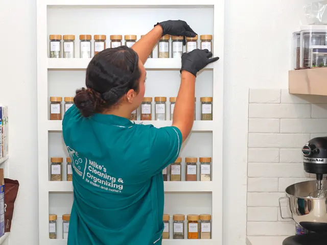 Mikes Cleaning & Organizing — photo from the business 8