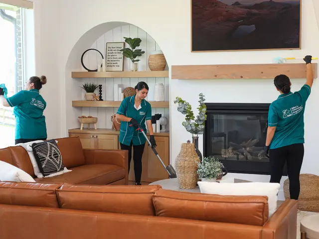 Mikes Cleaning & Organizing — photo from the business 4