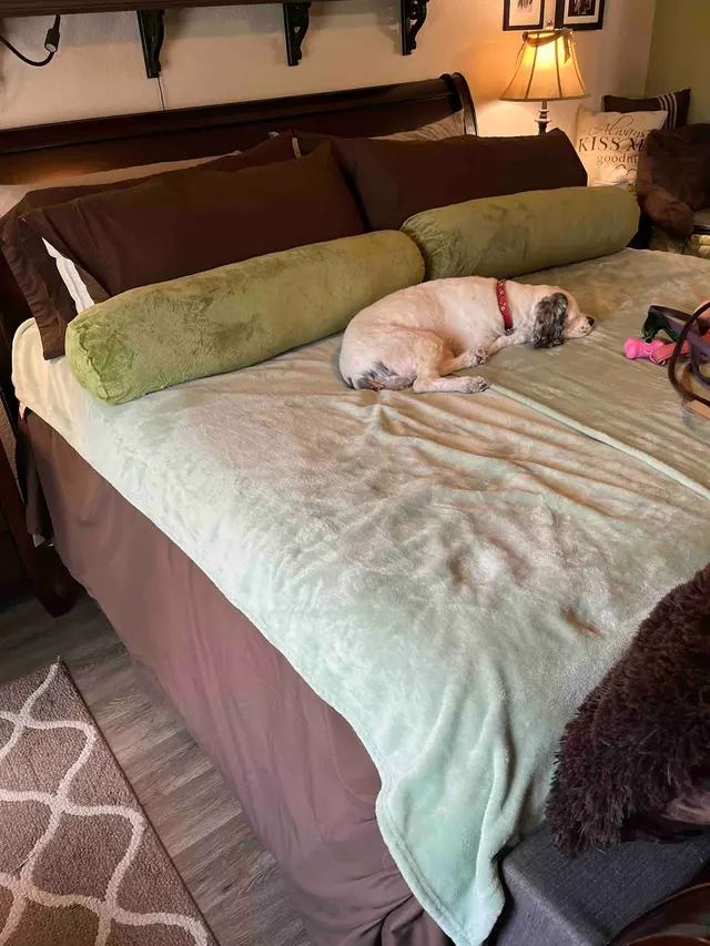 The Cleaning Authority - North Tarrant County — customer photo 7