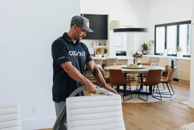 Coconut Cleaning Co. — photo from the business 3
