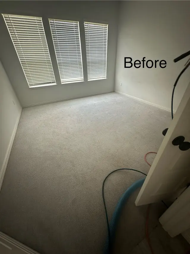 Full Steam Ahead Carpet Care — customer photo 4