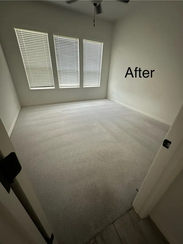 Full Steam Ahead Carpet Care — customer photo 5