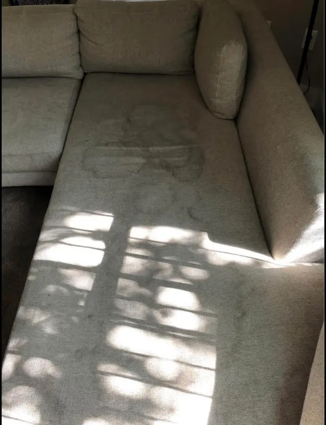 Full Steam Ahead Carpet Care — customer photo 7