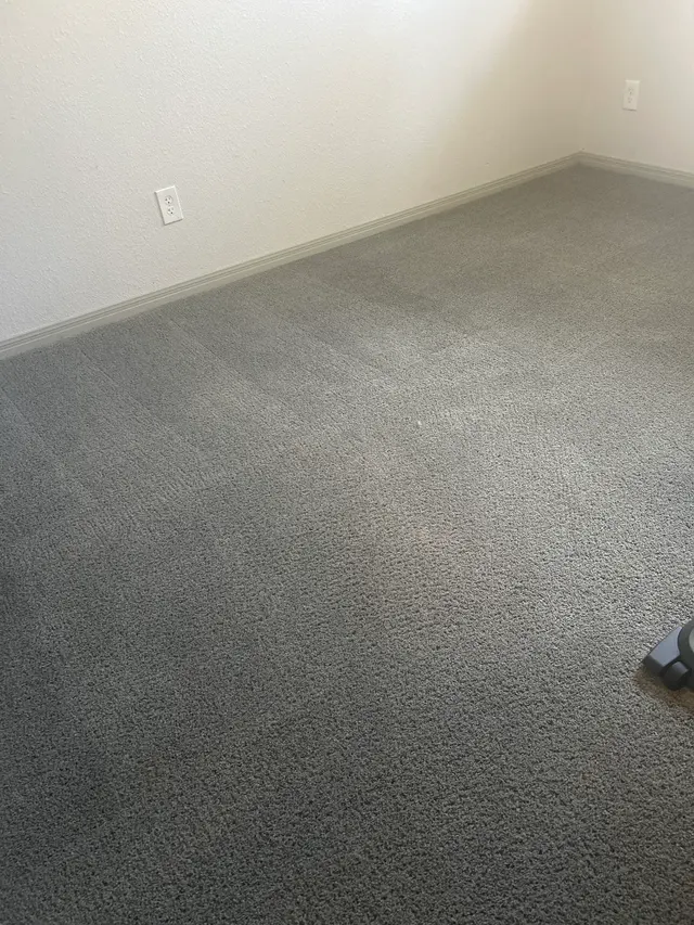 Full Steam Ahead Carpet Care — customer photo 2