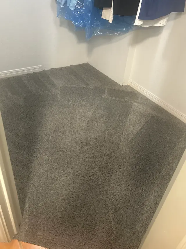 Full Steam Ahead Carpet Care — customer photo 1